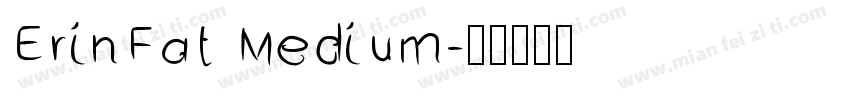 ErinFat Medium字体转换